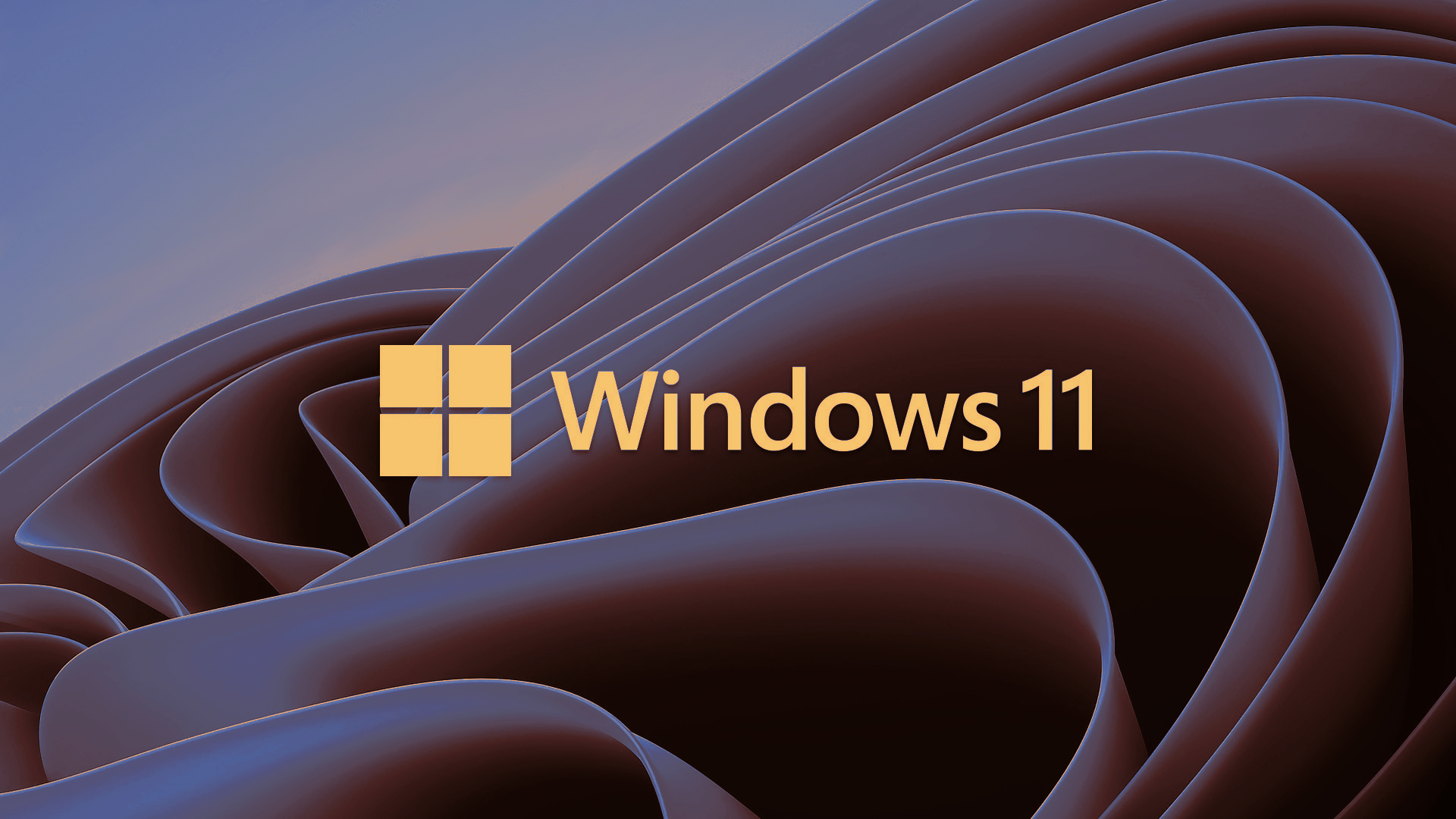 Программы для проверки совместимости Windows 11 | новости | компания ZSC